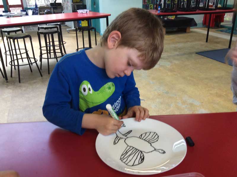 Concentration- Concentration-