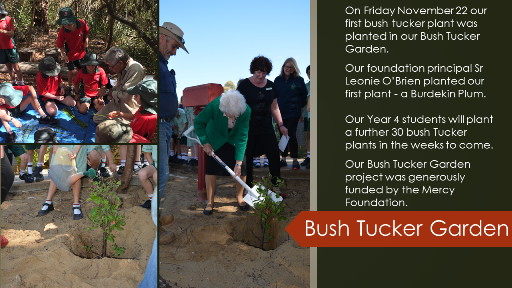 Bush Tucker Garden