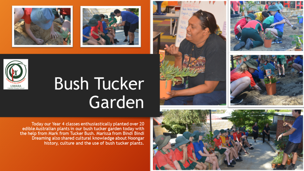 Bush Tucker Garden Planting