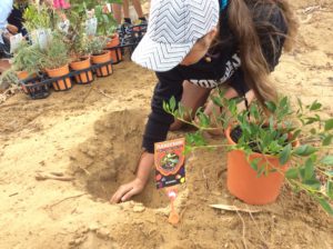 Bushtucker Bushtucker