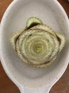 Celery stalk sprouting