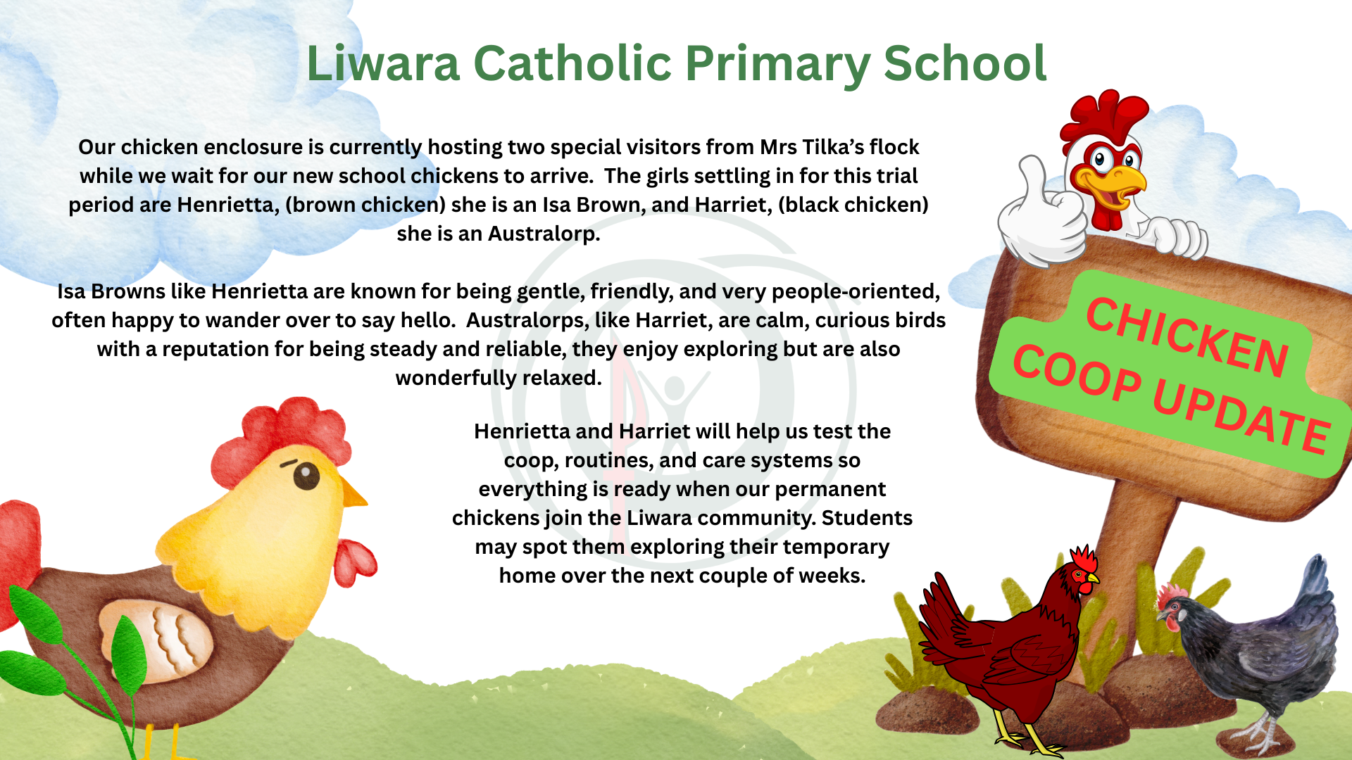 Chicken Coop Update (2)