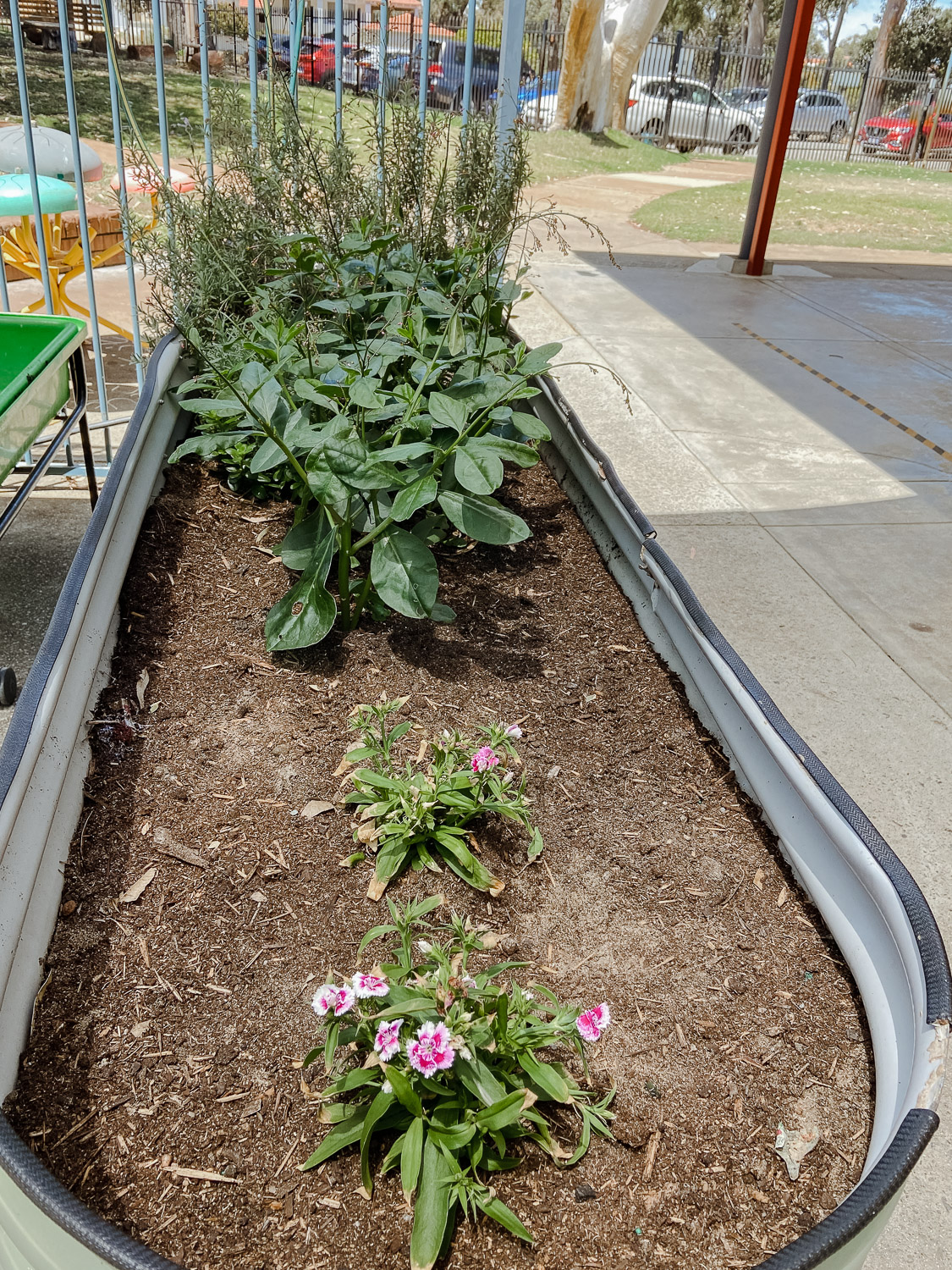 Garden Bed-2 Garden Bed-2