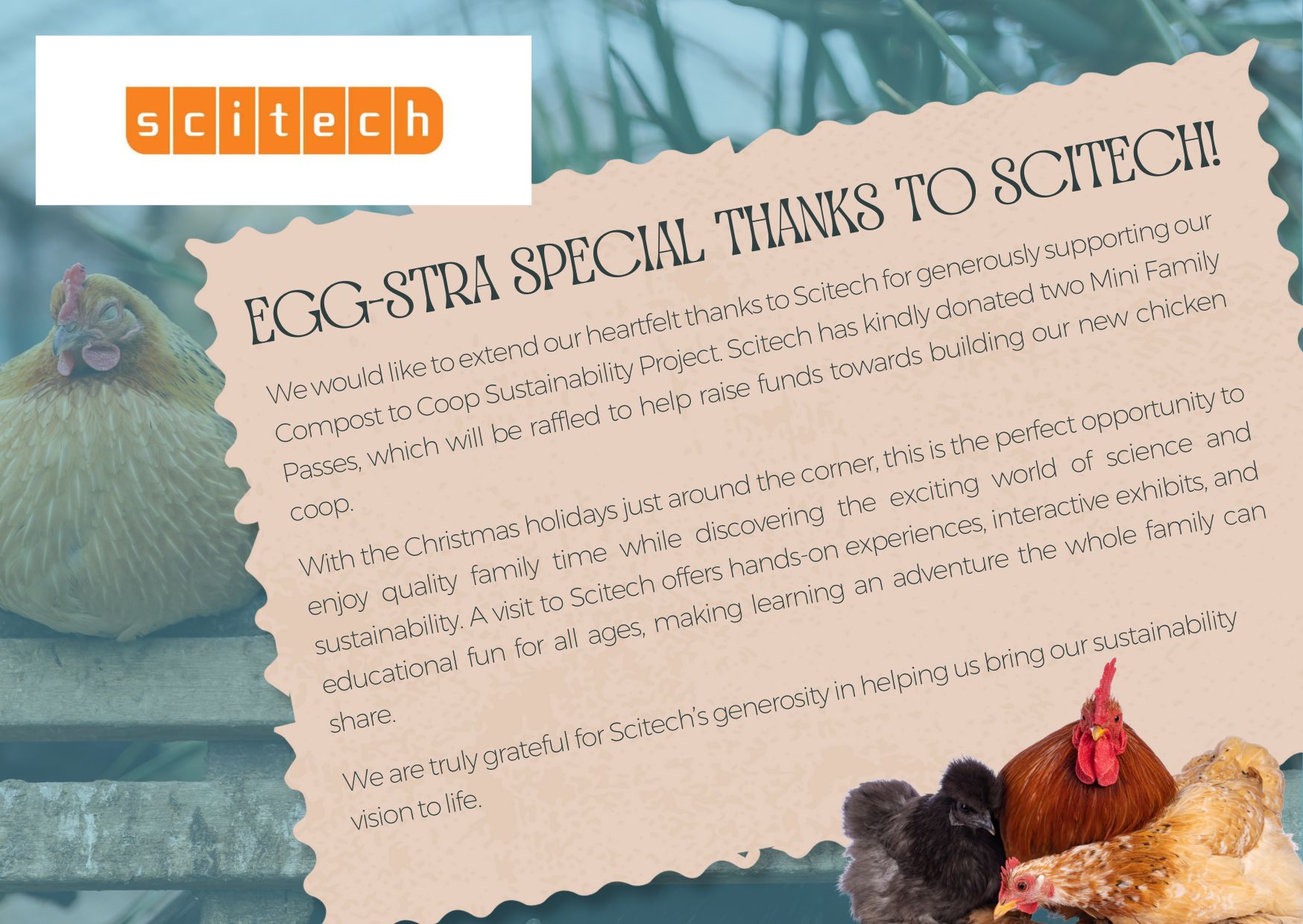 Local Swimwear Business Thank You Note Card