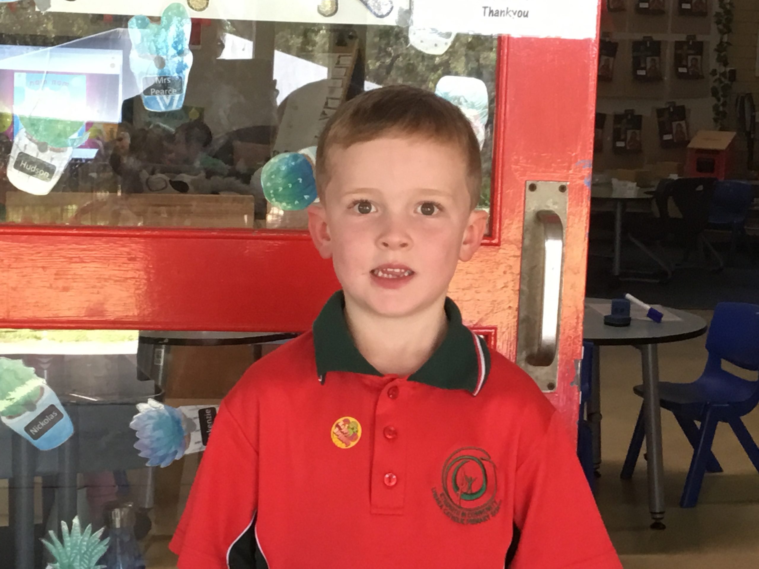 PrePrimary PrePrimary
