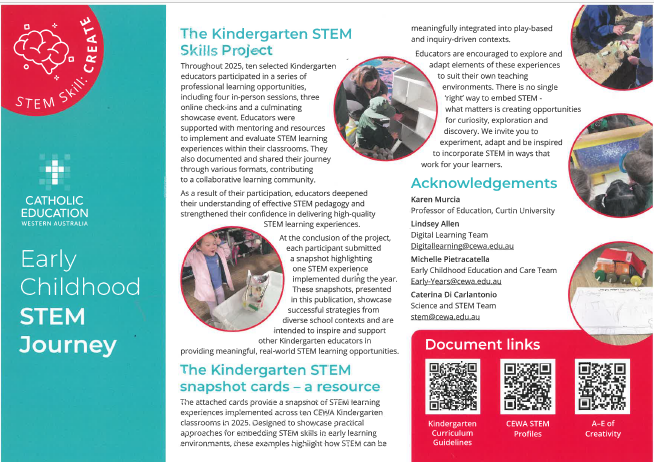 STEM CArd 2