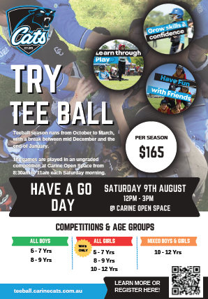 T3 Tee Ball