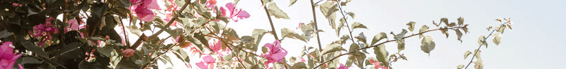 Top-Header Top-Header