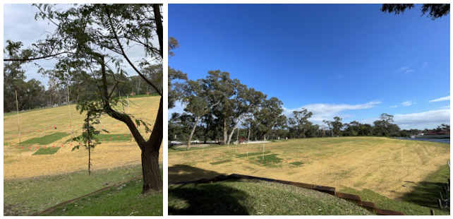 Update school oval Update school oval