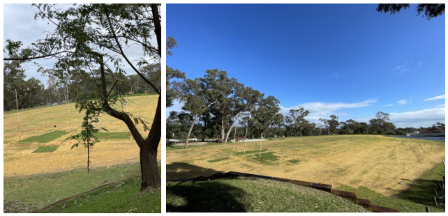 Update school oval