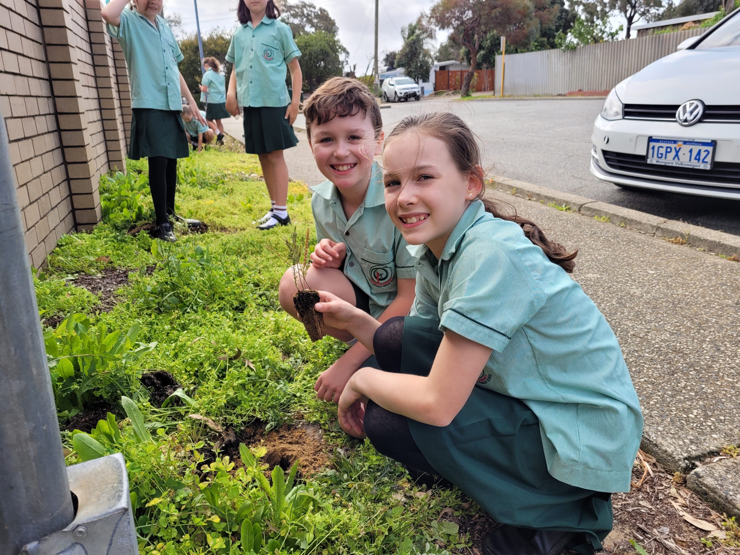 Yr 4 planting4