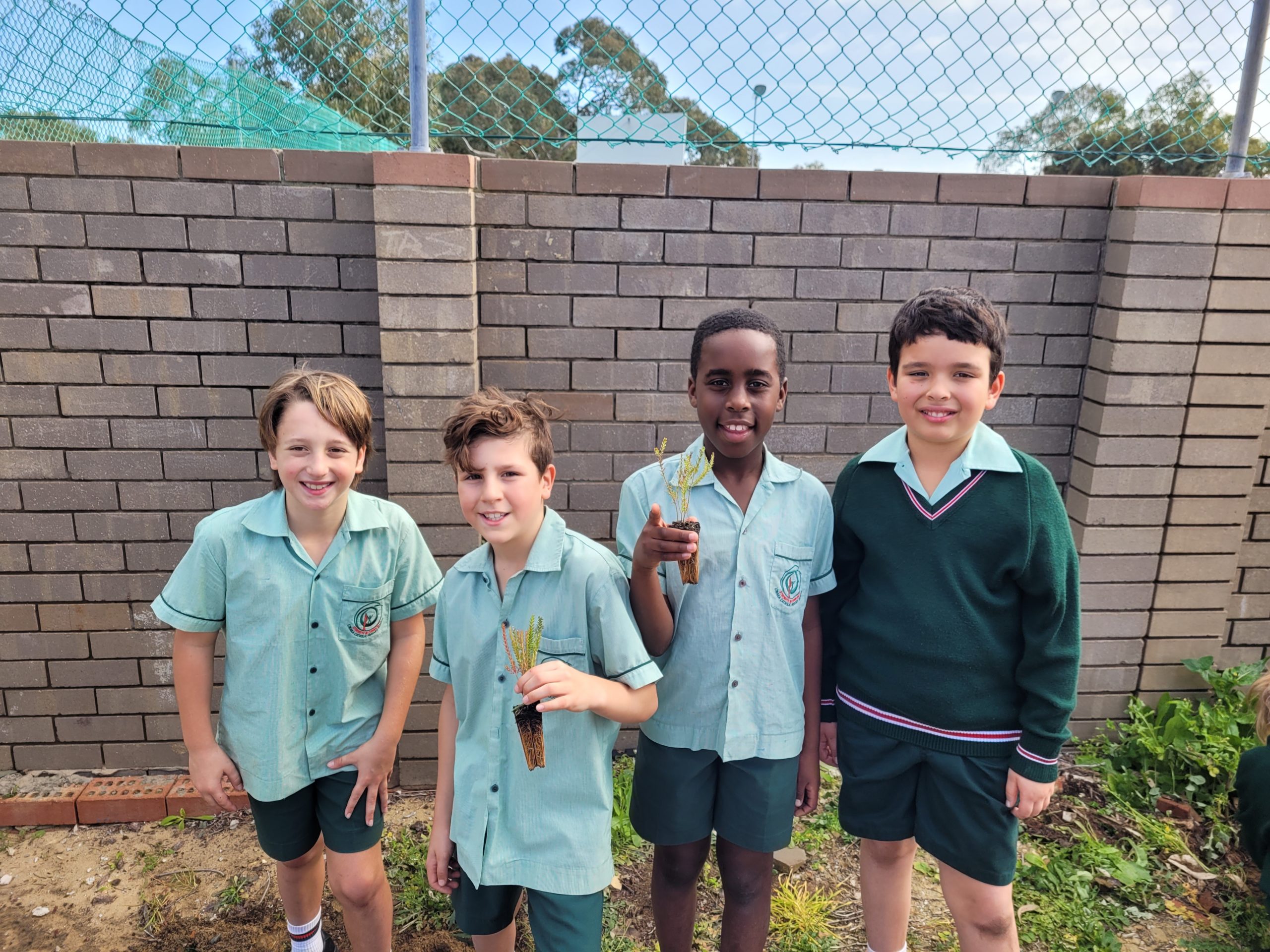 Yr 4 planting5 Yr 4 planting5