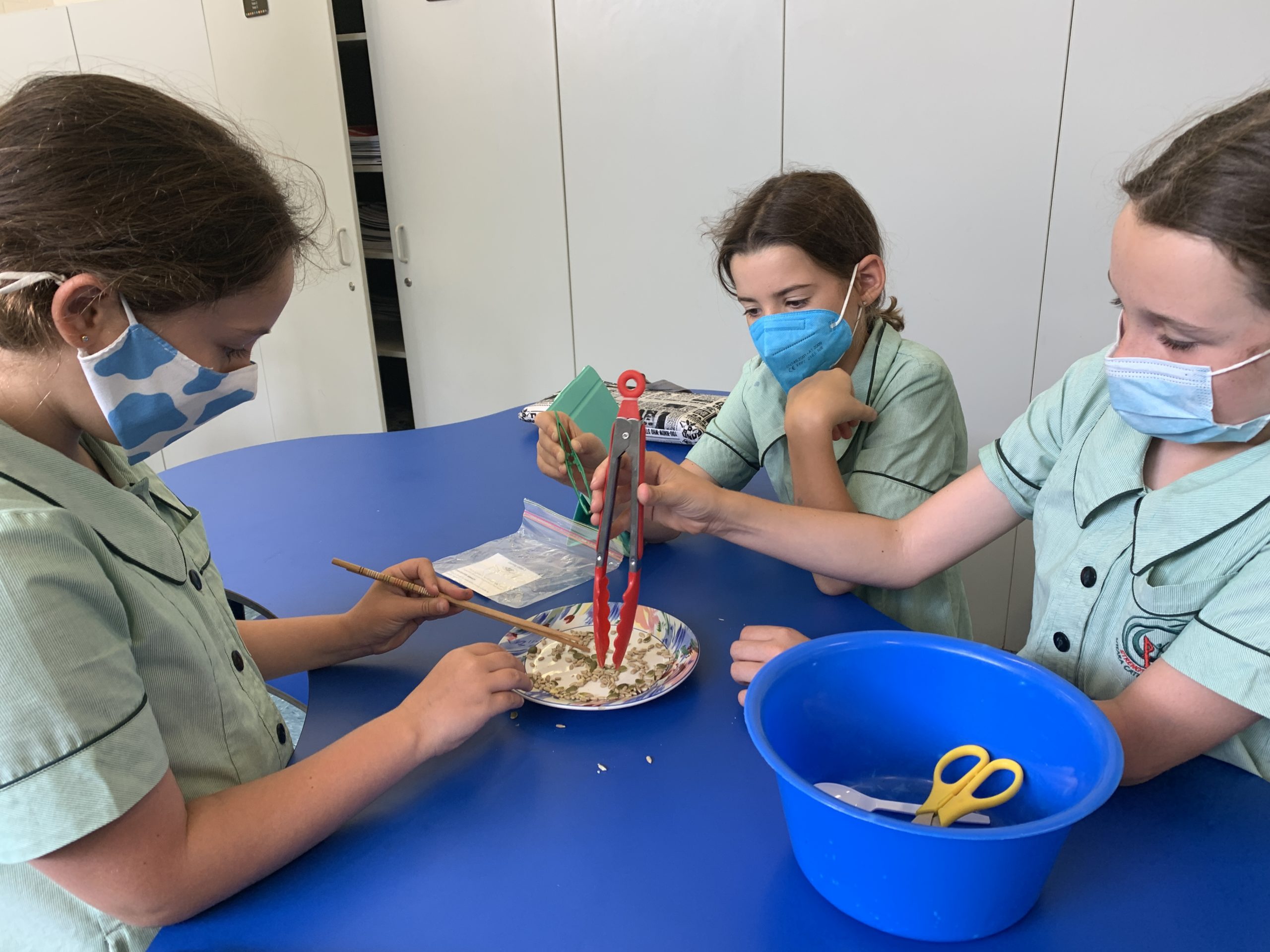 Yr 5 Bird Beak Experiment