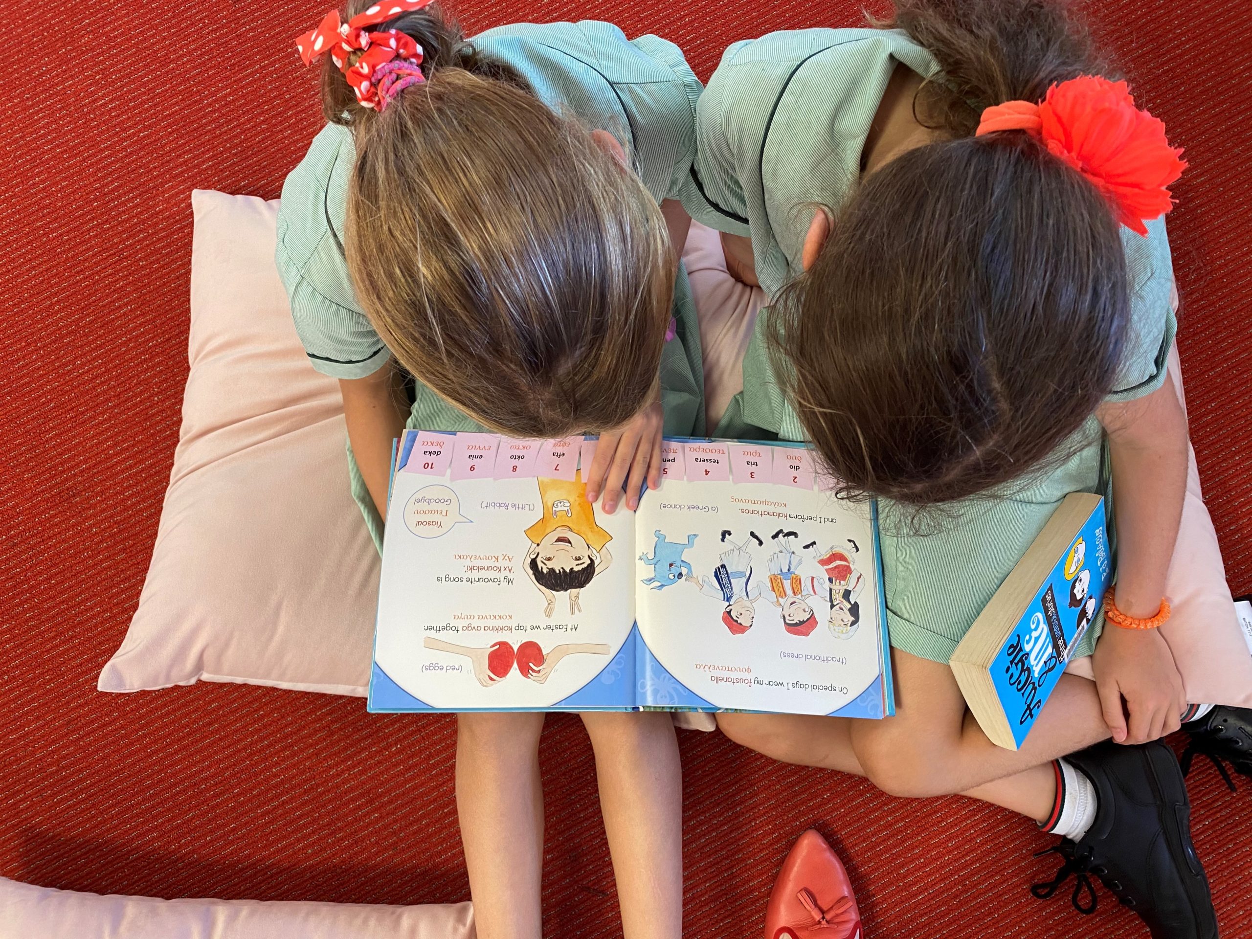 Yr5a Yr5a