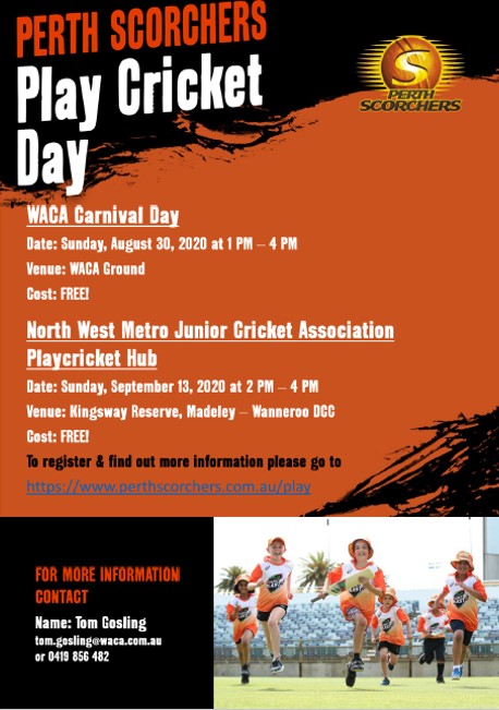 cricket cricket