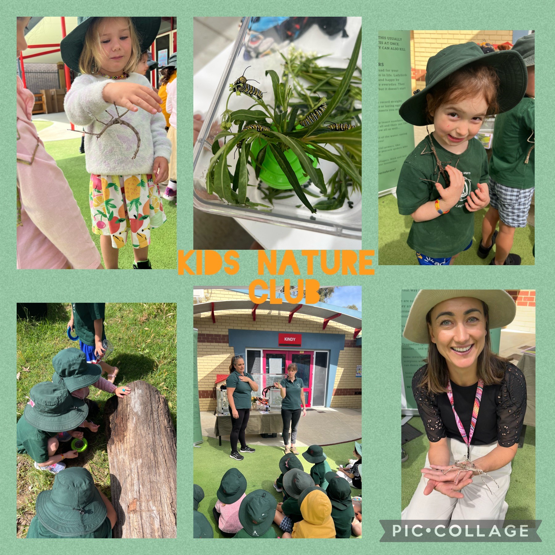 kids nature club kids nature club